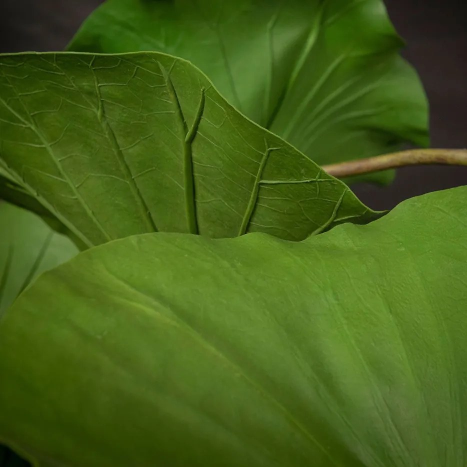 Aranjament floral mare ETERNITY ANNALISA