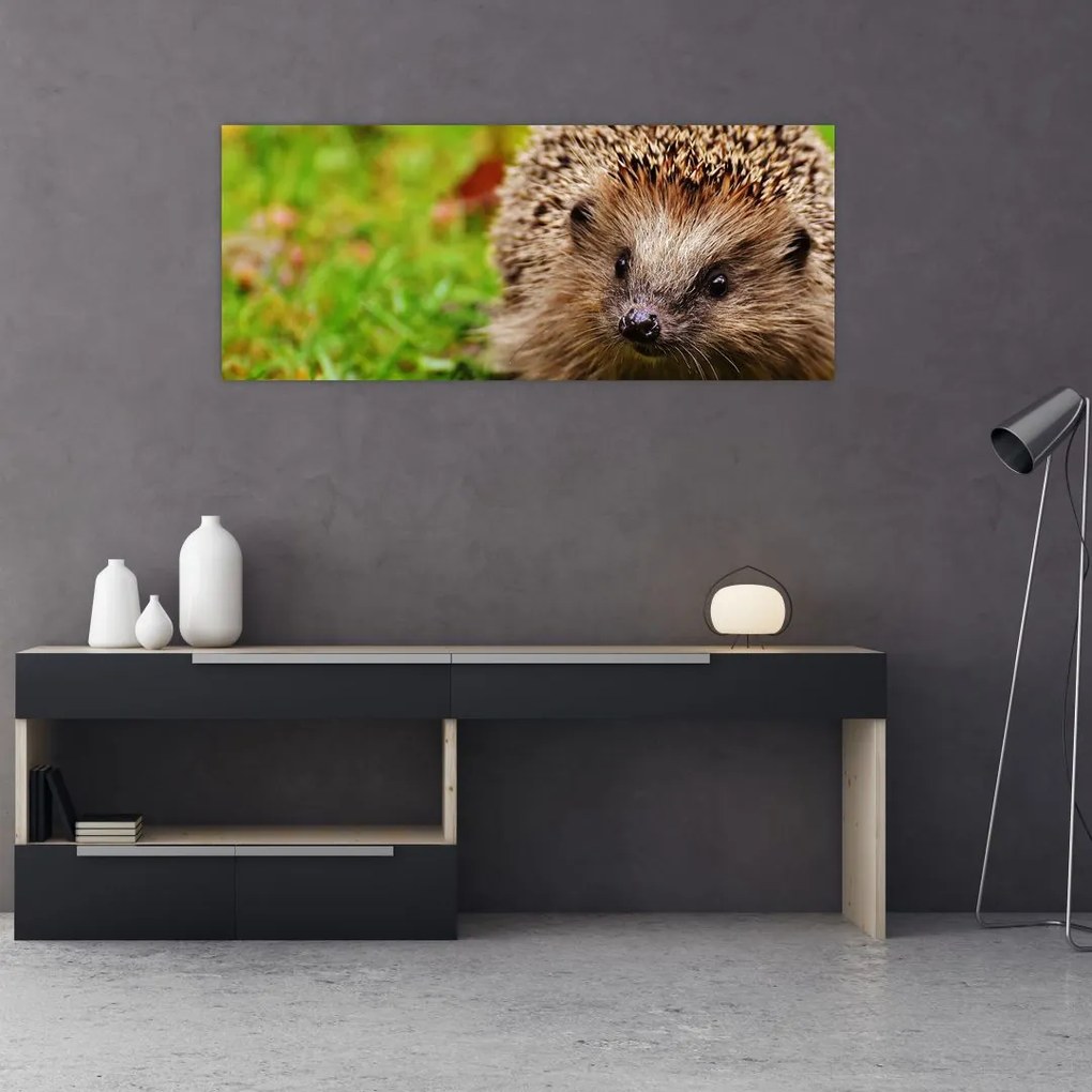 Tablou cu arici (120x50 cm)