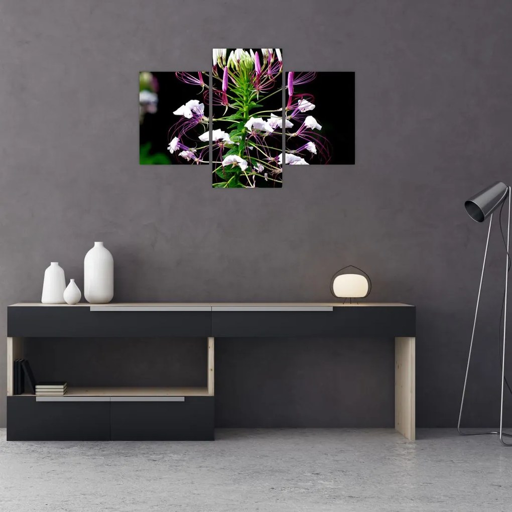 Tablou cu floare (90x60 cm)