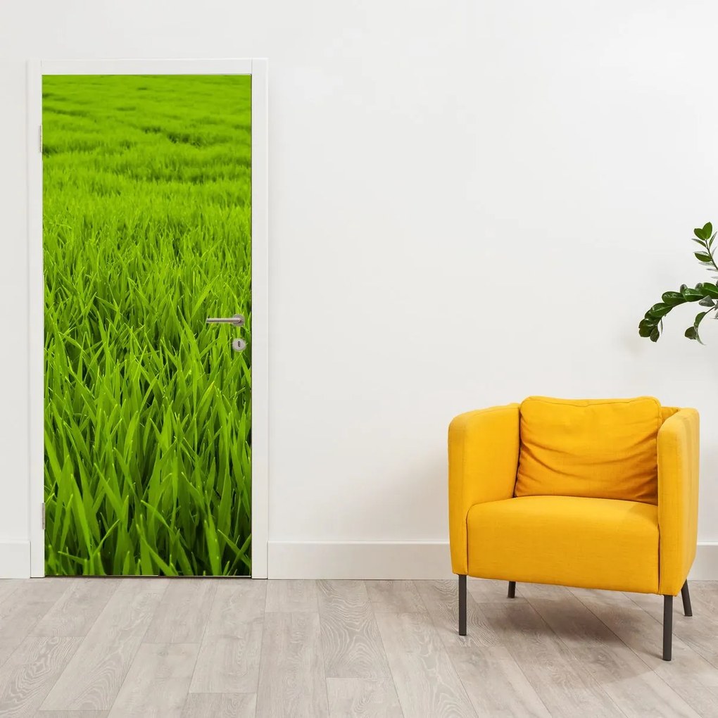 Fototapet pentru ușă - Iarba (95x205cm)