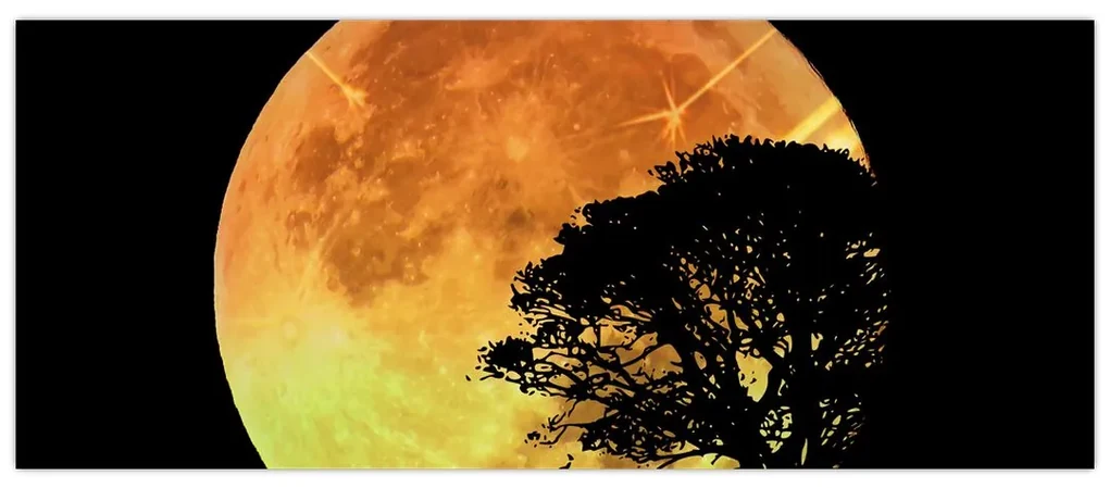Tablou cu umbre în lumina lunii (120x50 cm)