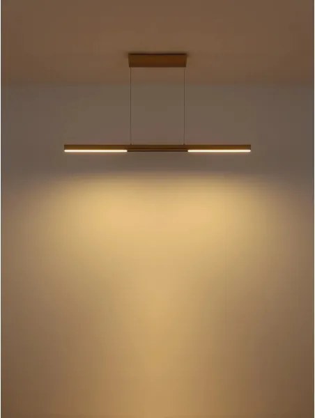 Globo 17018G - Lustră LED suspendată pe cablu CODY LED/24W/230V 3000K