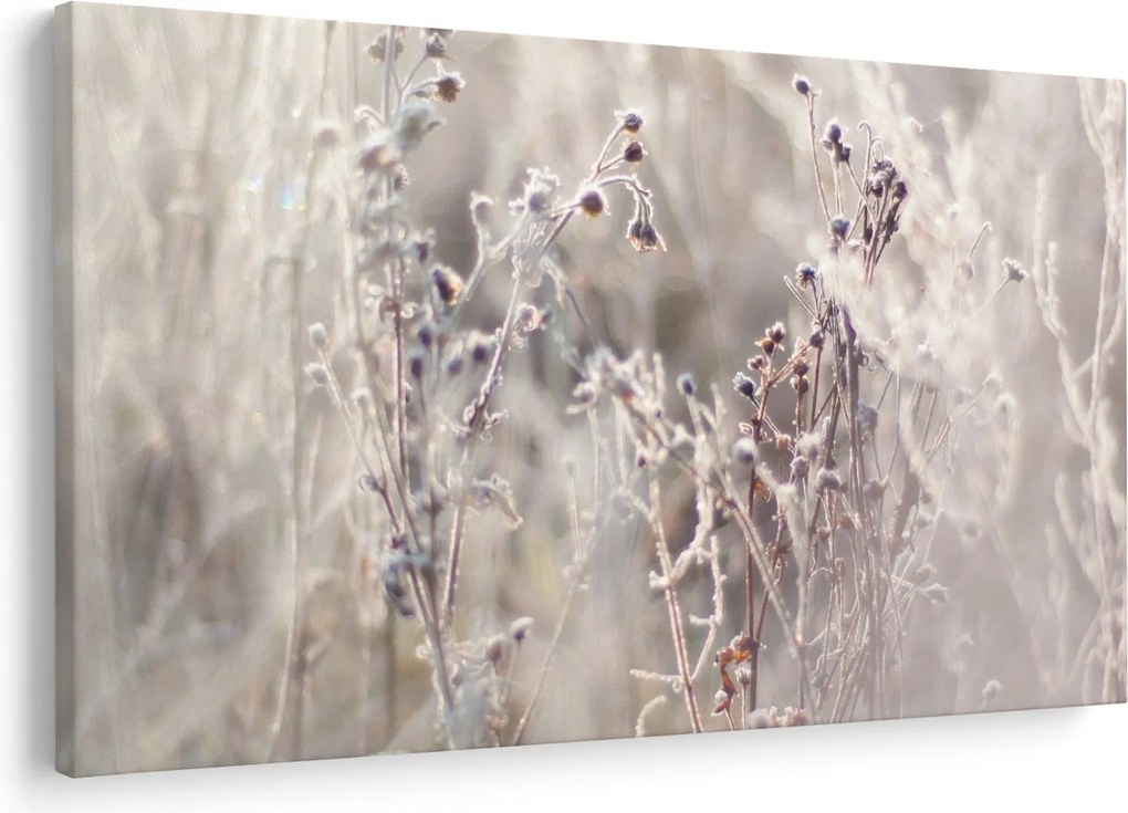 Tablou - Plante (90x60 cm)