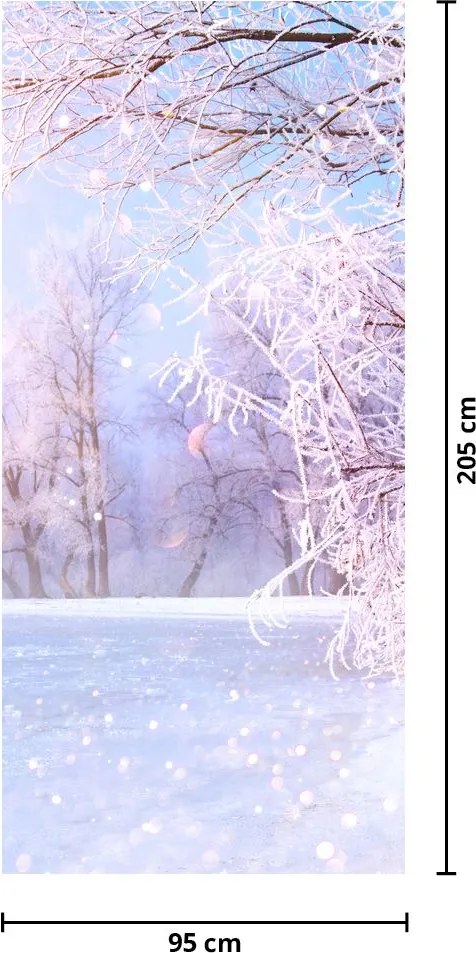 Fototapet pentru ușă - Iarnă geroasă (95x205cm)