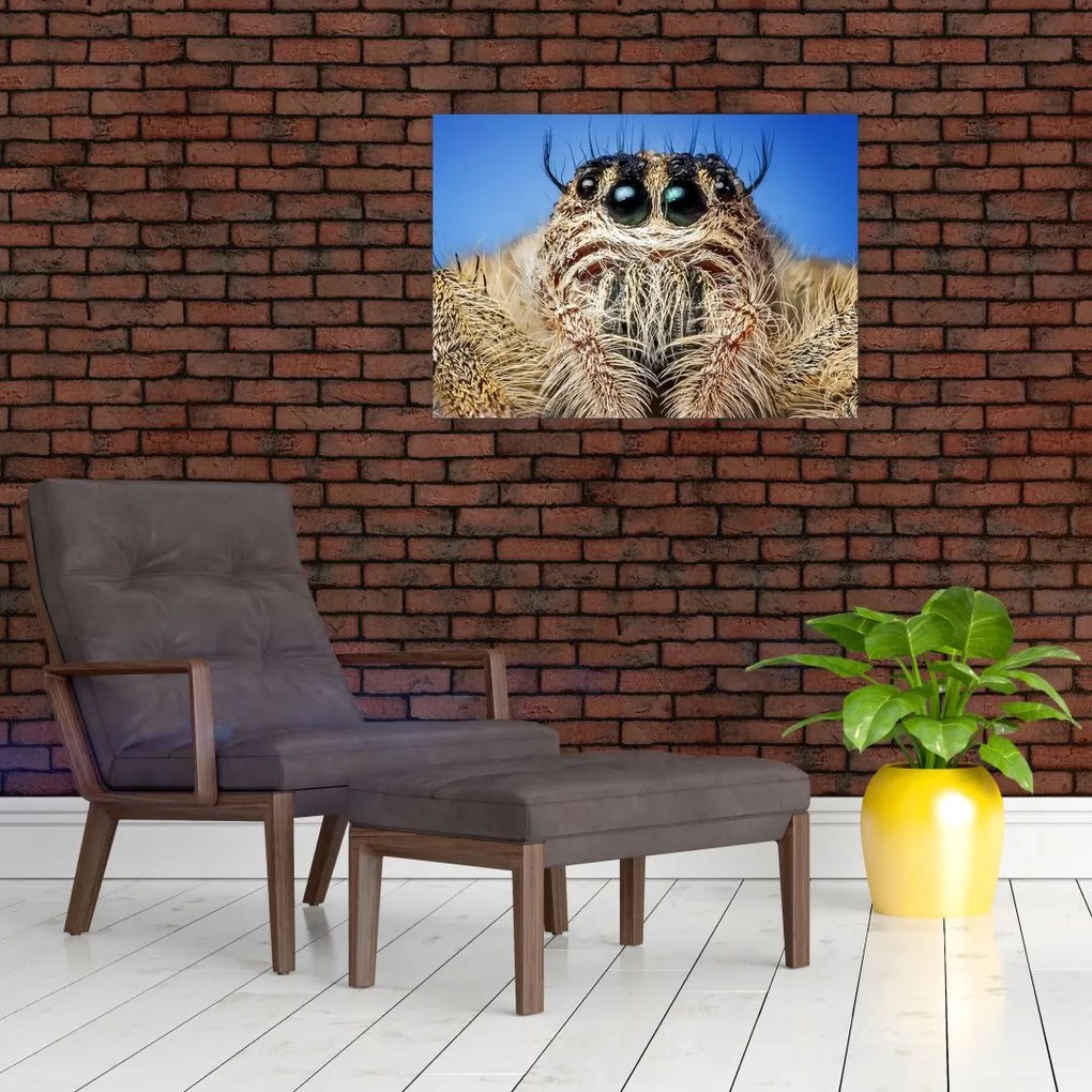 Tablou cu detalii a unui pâianjen (70x50 cm)
