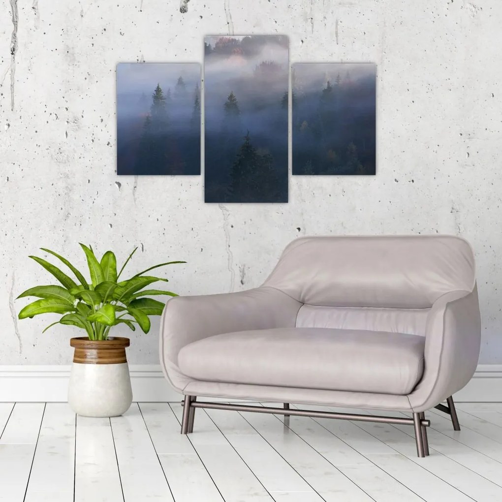 Tablou - Pădure în ceță, Carpați, Ucraina (90x60 cm)