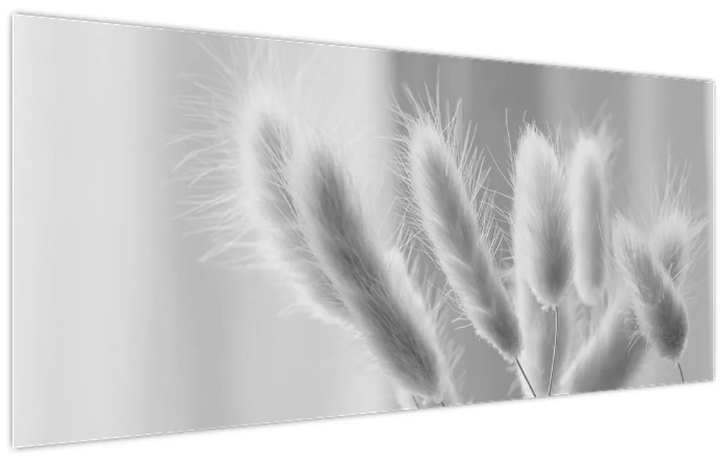 Tablou - Iarbă de coadă de iepure (120x50 cm)