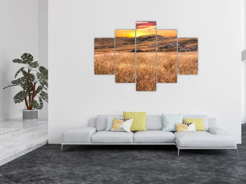 Tablou cu câmp (150x105 cm)