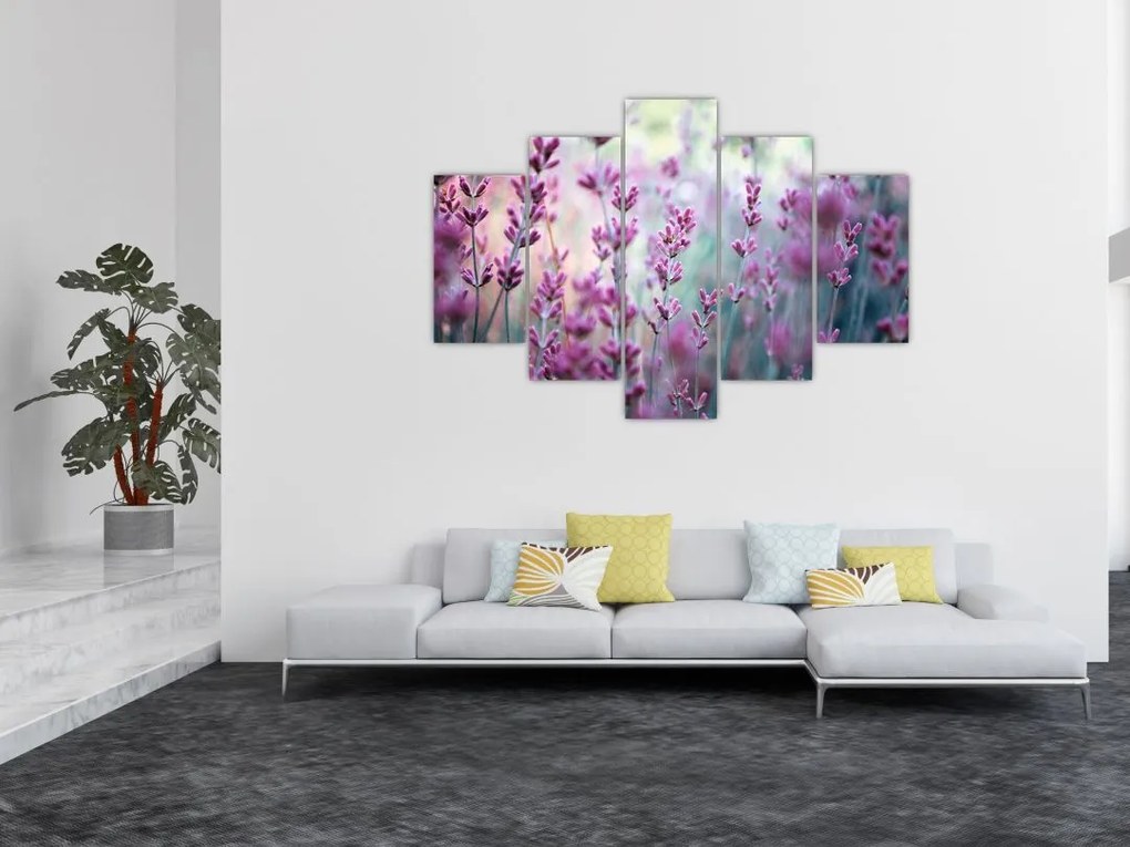 Tablou - Lavandă (150x105 cm)