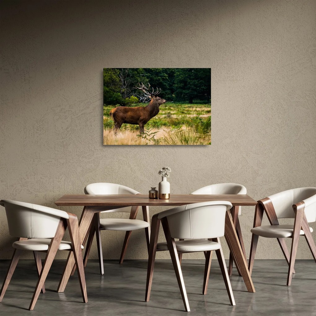 Tablou pe sticlă cu cerb (70x50 cm)