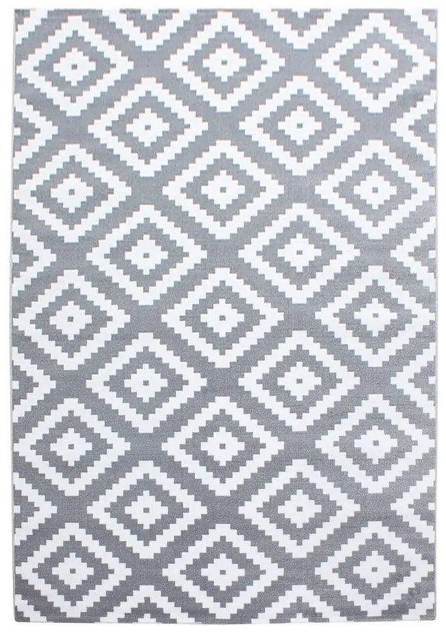 Covor gri deschis 160x230 cm Plus – Ayyildiz Carpets