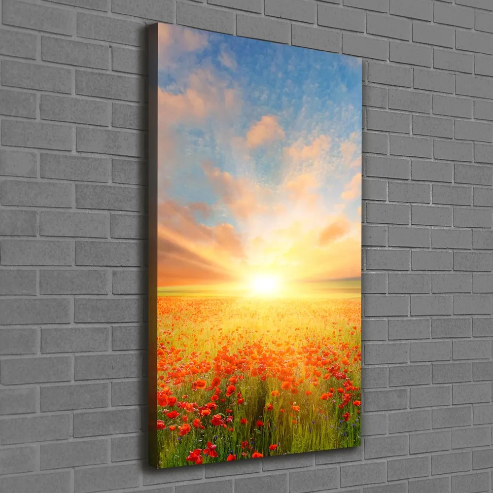 Print pe canvas Câmp de maci