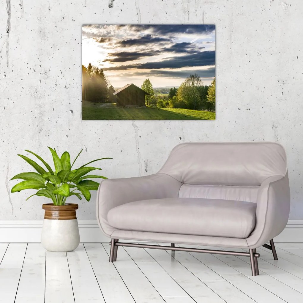 Tablou cu cabana pe luncă (70x50 cm)