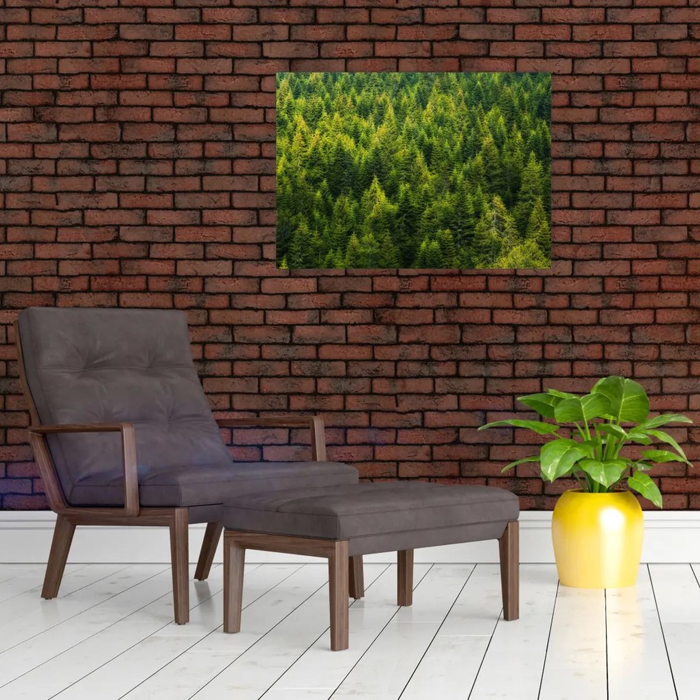 Tablou - Pădure deasă (70x50 cm)