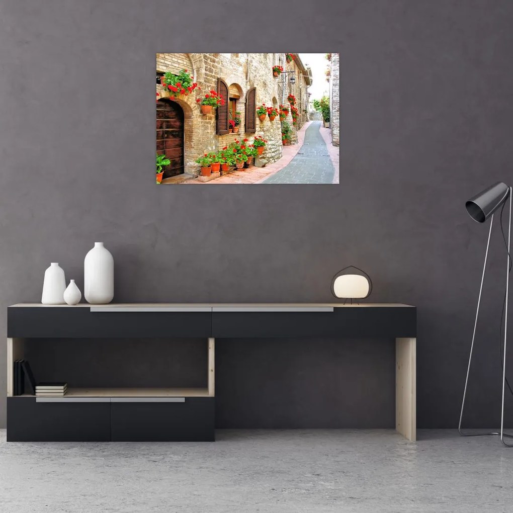 Tablou pe sticlă - Alee pitorească italiană (70x50 cm)