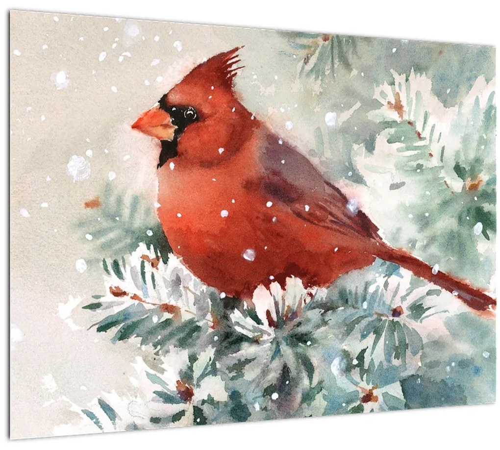 Tablou pe sticlă - Cardinal (70x50 cm)