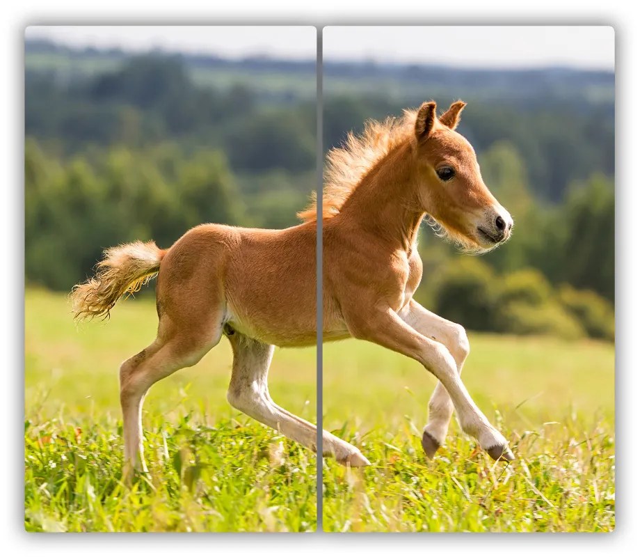 Tocator din sticla mânji de galop