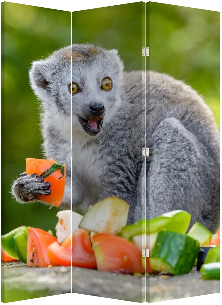 Paravan - Lemur (126x170 cm)