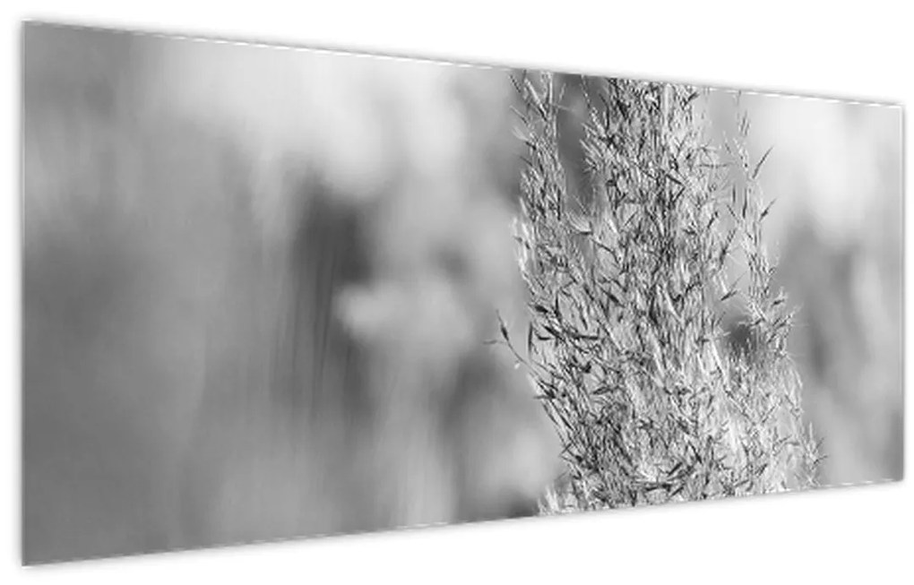 Tablou - Iarbă de pampas Boho (120x50 cm)