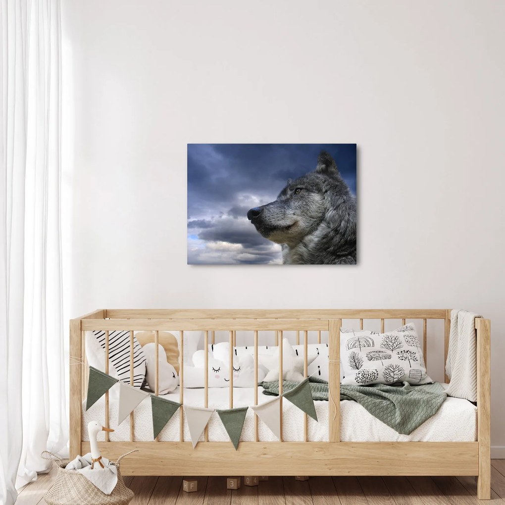 Tablou - Cap de lup (70x50 cm)