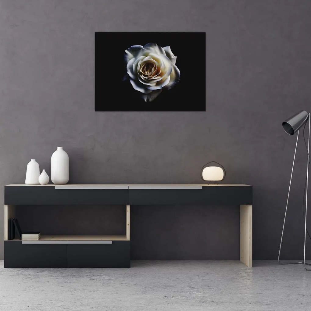 Tablou pe sticlă cu trandafir alb (70x50 cm)