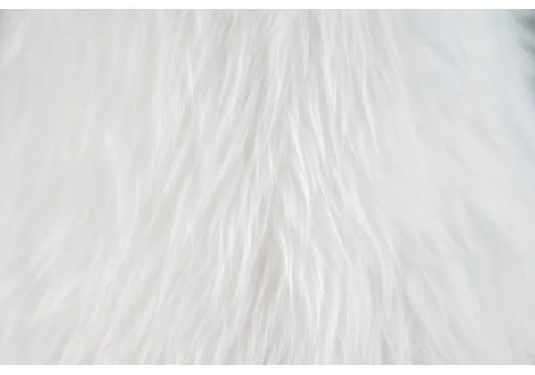 Lampă LED de masă pentru copii Happy Lamps HUGO LED/5,4W/230V taur