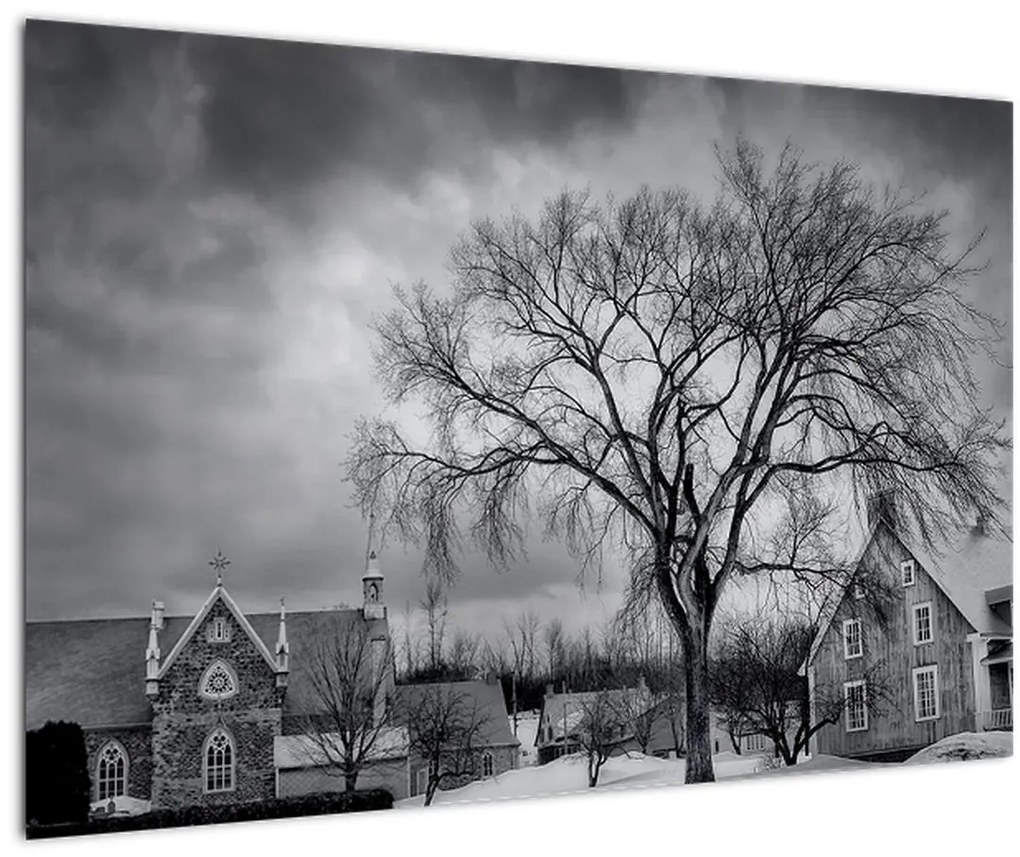 Tablou cu sat alb negru (90x60 cm)