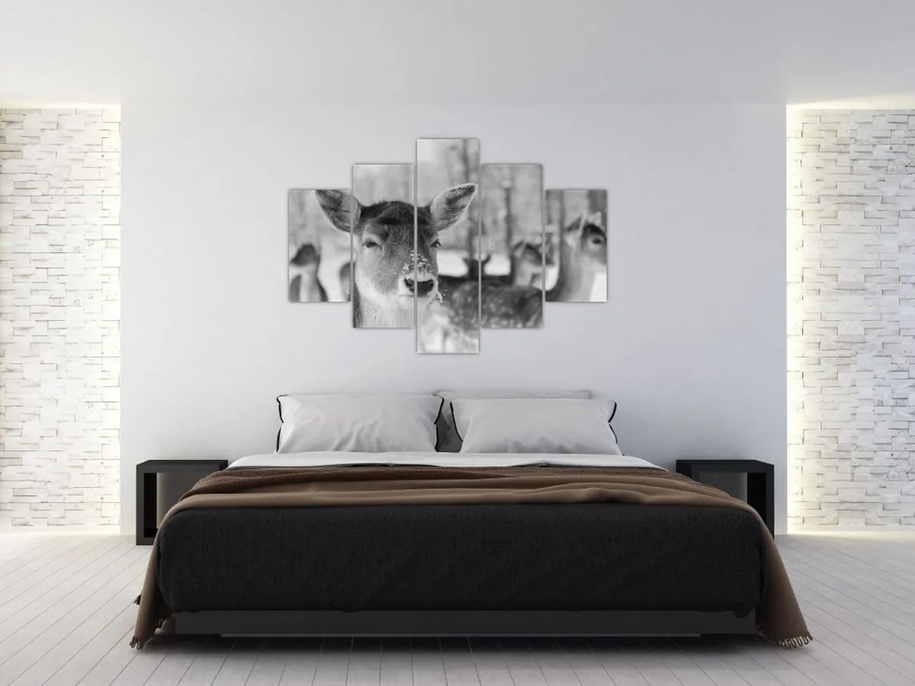 Tablou - Cerbi,alb-negru (150x105 cm)