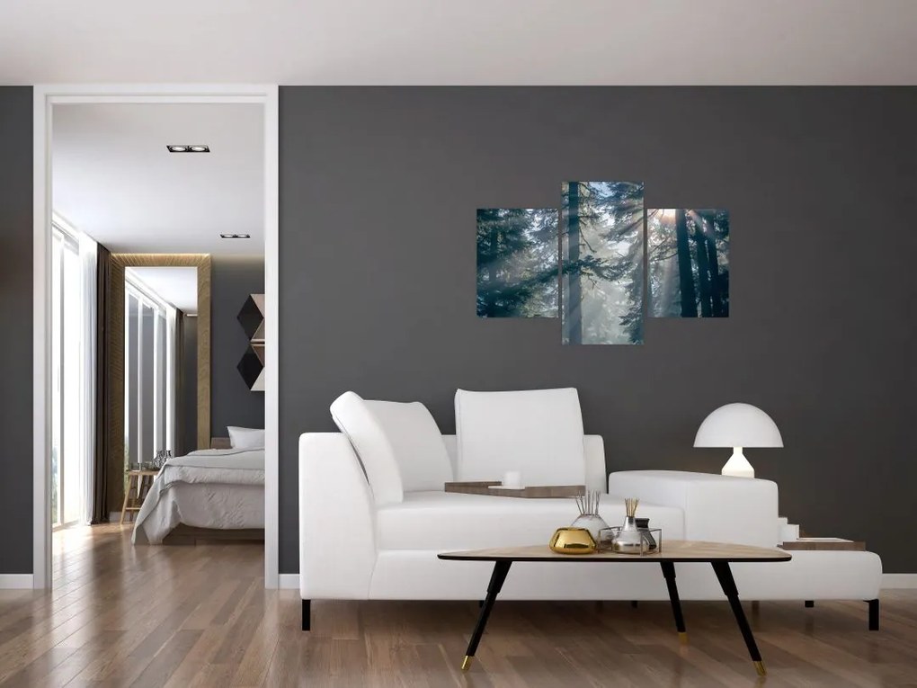 Tablou cu copaci și soarele translucind (90x60 cm)