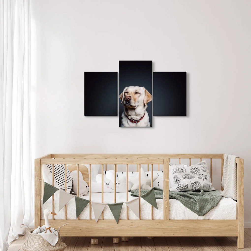 Tablou cu labrador (90x60 cm)