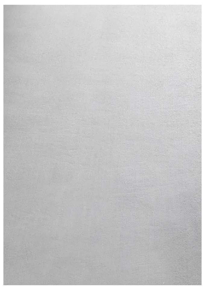 Covor tip traversă gri deschis lavabil 80x250 cm Sky – Ayyildiz Carpets
