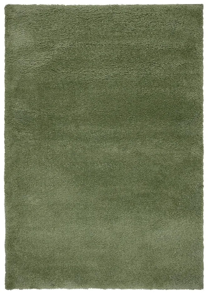 Covor verde 160x230 cm – Flair Rugs