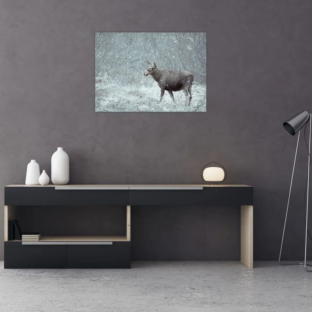 Tablou pe sticlă - Elan într-o pădure înzăpezită (70x50 cm)