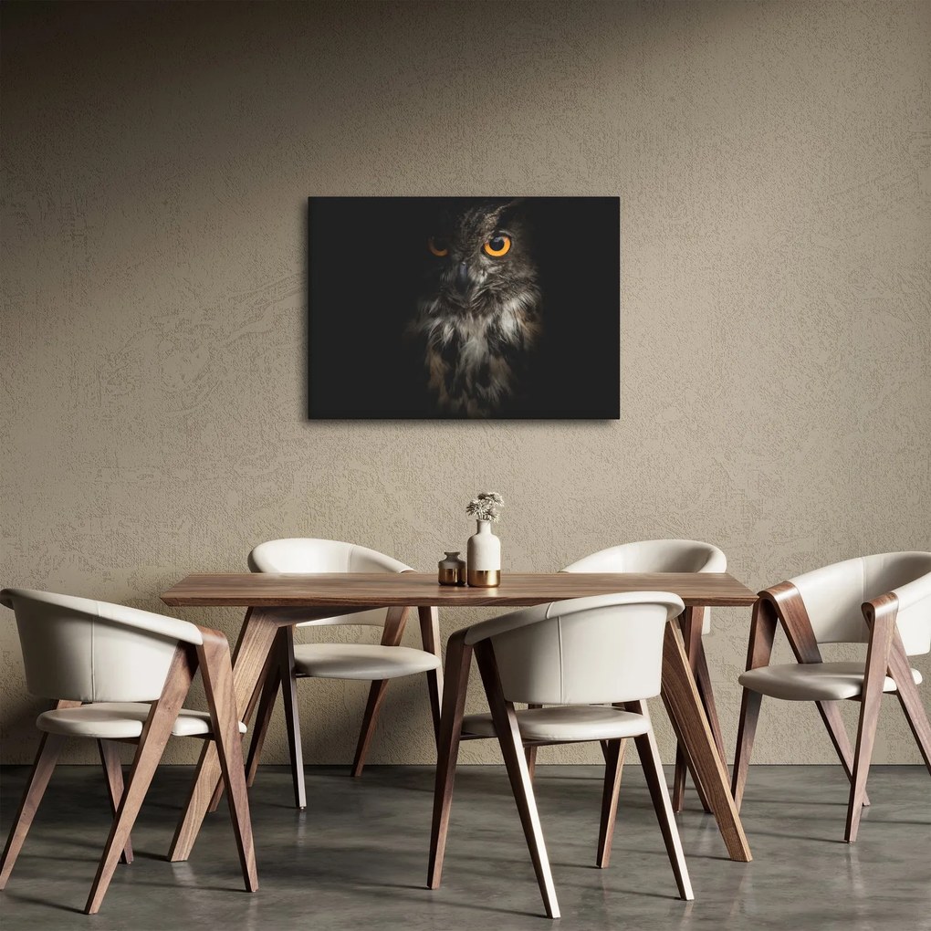 Tablou cu bufnița (70x50 cm)