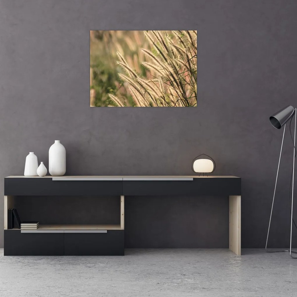 Tablou pe sticlă - Cereale (70x50 cm)