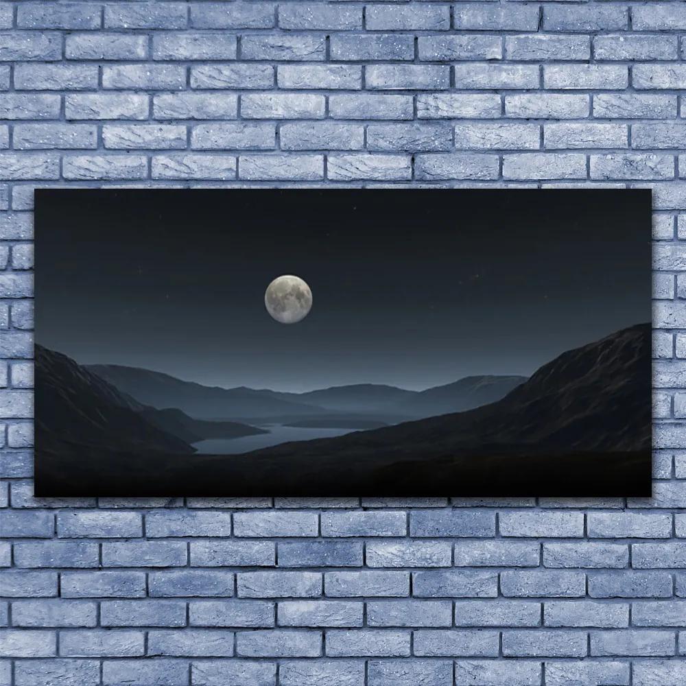 Tablouri acrilice Noapte Moon Peisaj Gri Negru