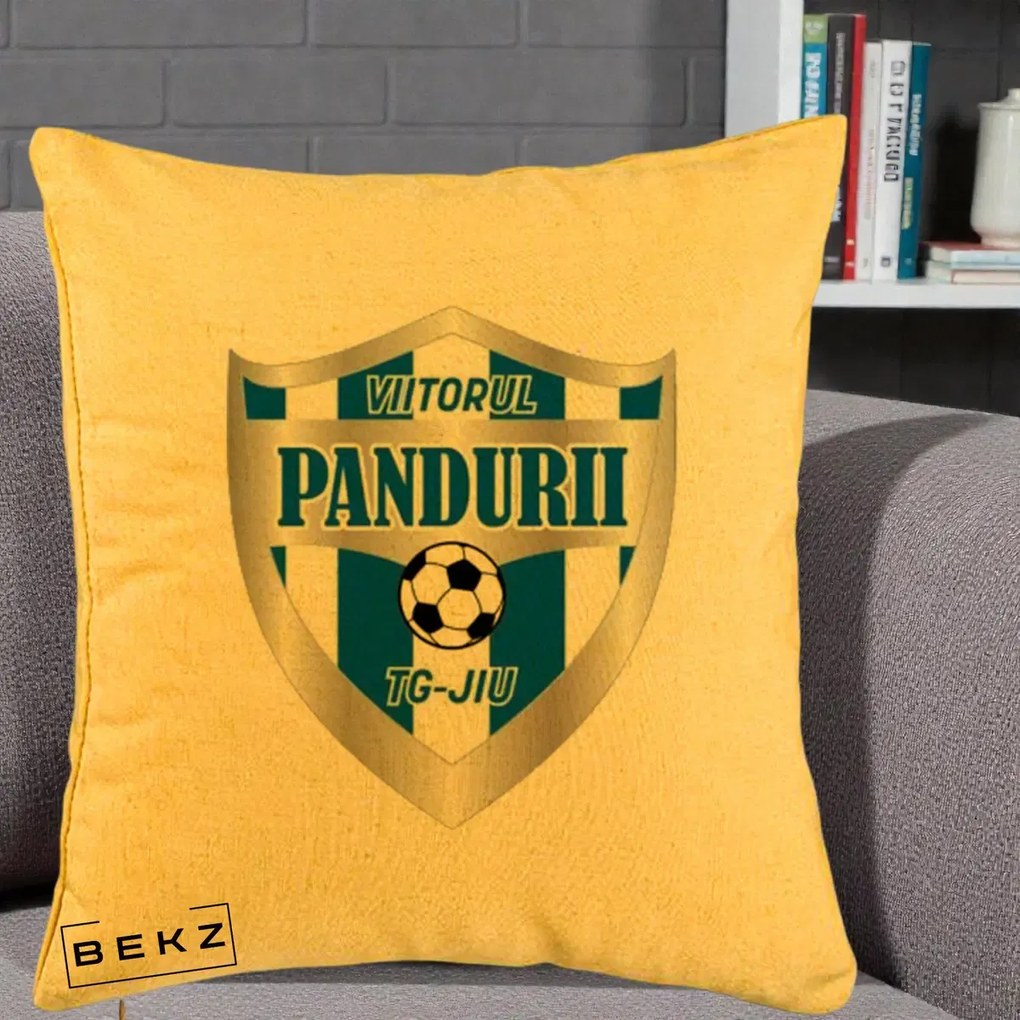 Perna Personalizata Pandurii Targu Jiu Fotbal, 40x40 cm, Galben, Husa Detasabila, Perna Inclusa, BEKZ®