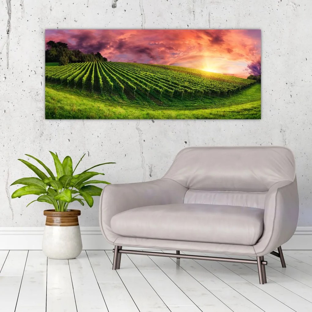 Tablou cu vie cu cerul color (120x50 cm)
