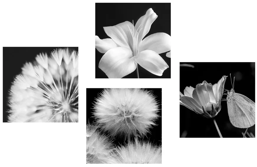 Set tablouri frumusețea florilor în alb-negru cu fluture