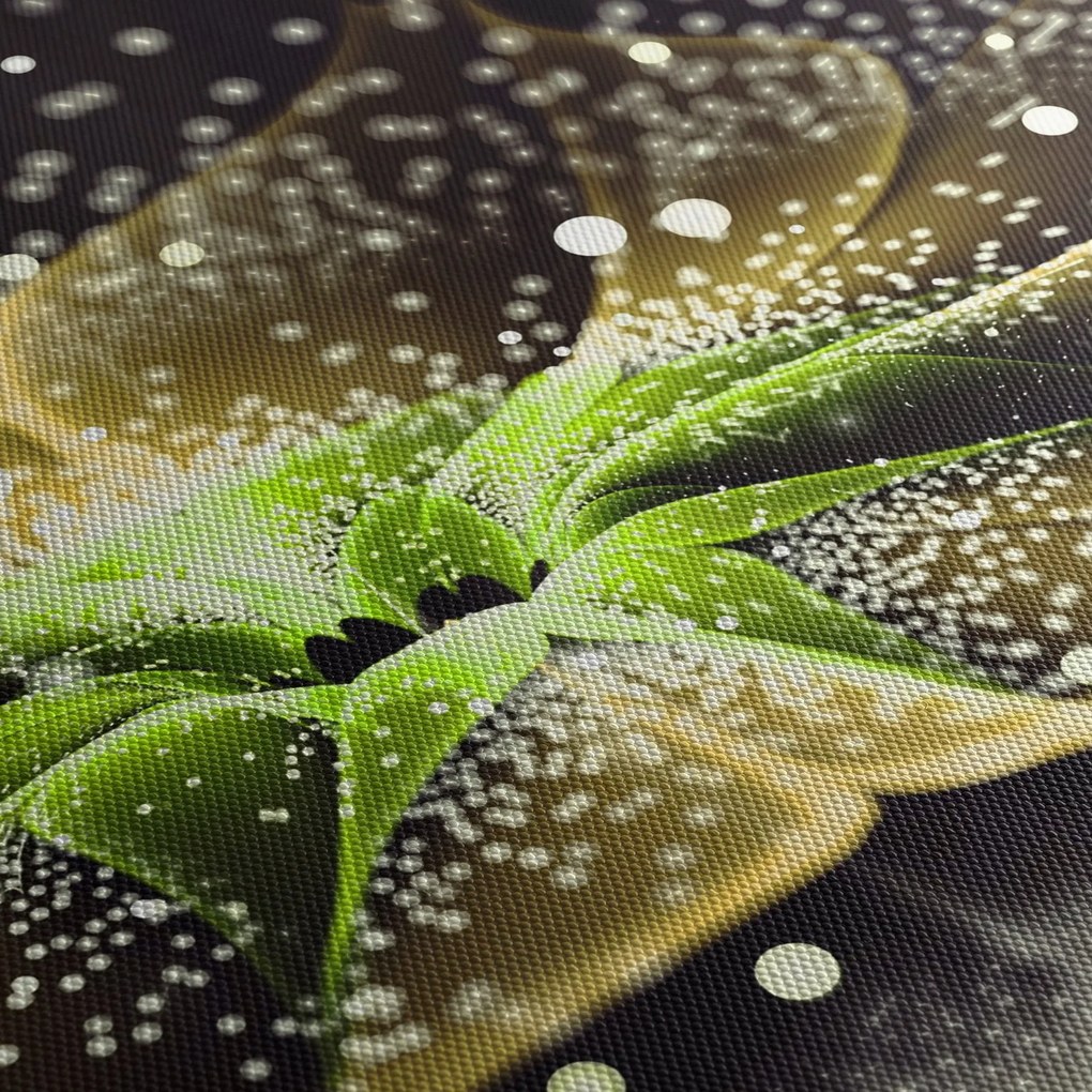 Tablou - Detaliu florii (cu ceas) (90x30 cm)
