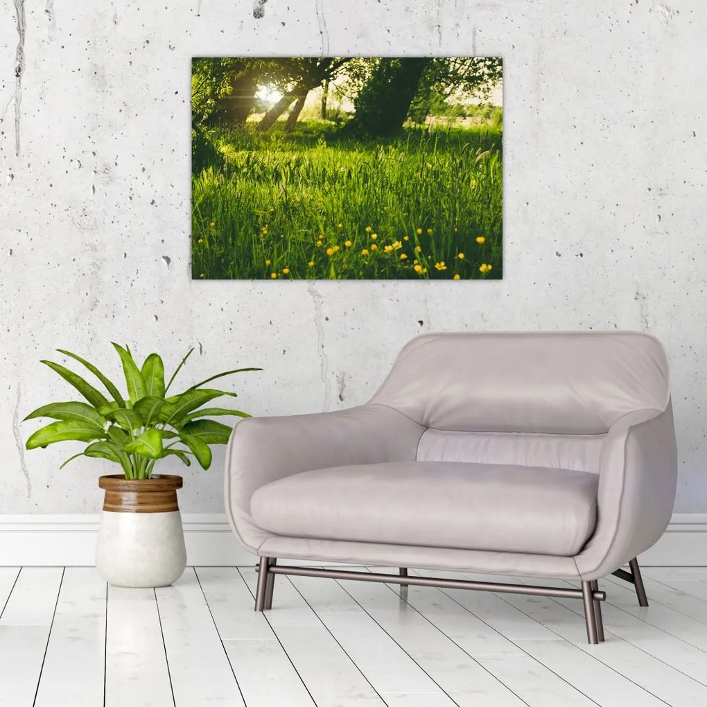 Tablou cu natura - lunca (70x50 cm)