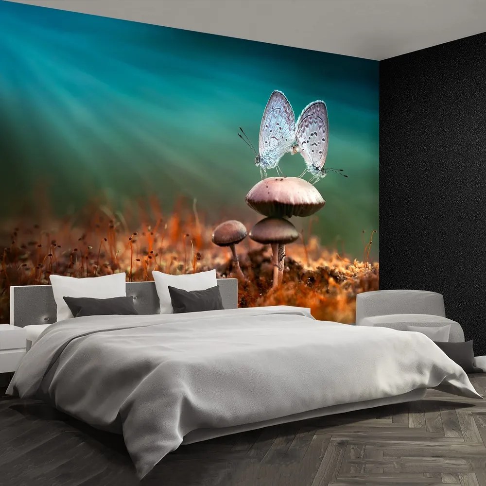 Fototapet Ciuperci ciuperci