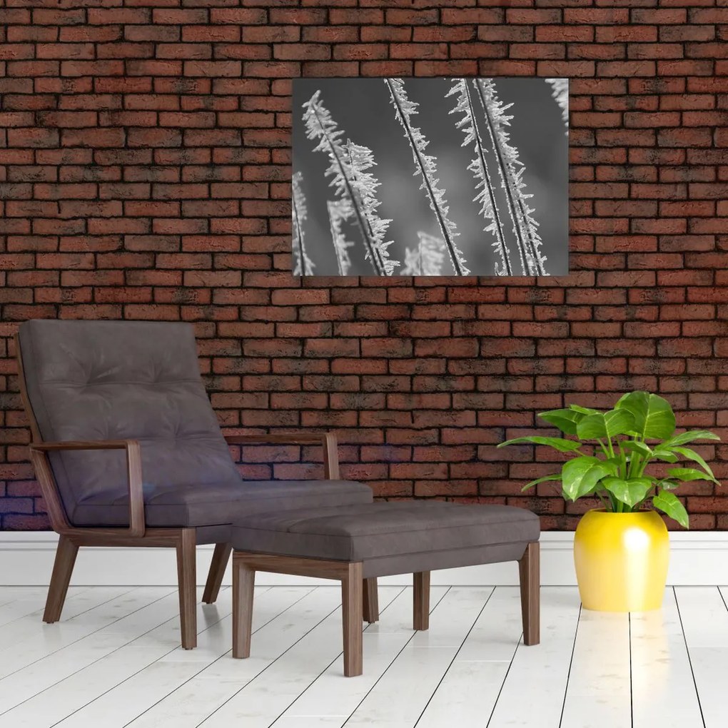 Tablou pe sticlă - Frig de îngheț (70x50 cm)