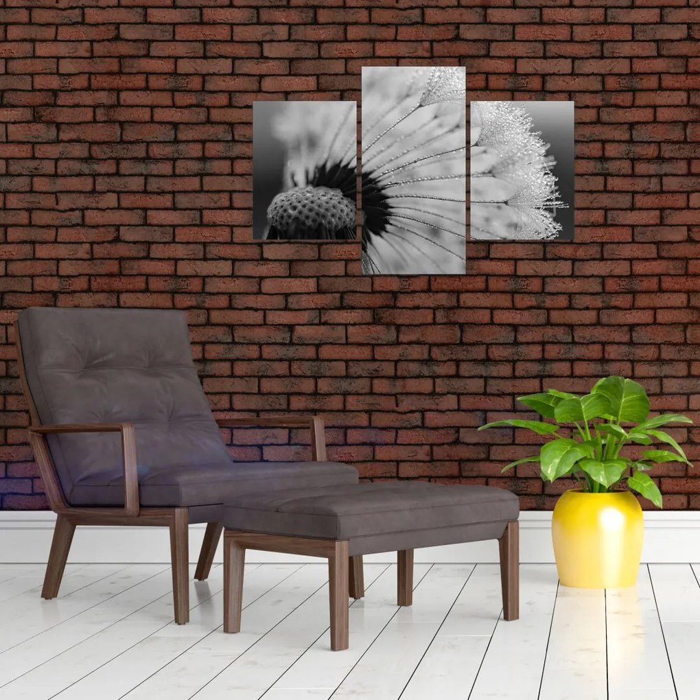 Tablou cu păpădie - albnegru (90x60 cm)