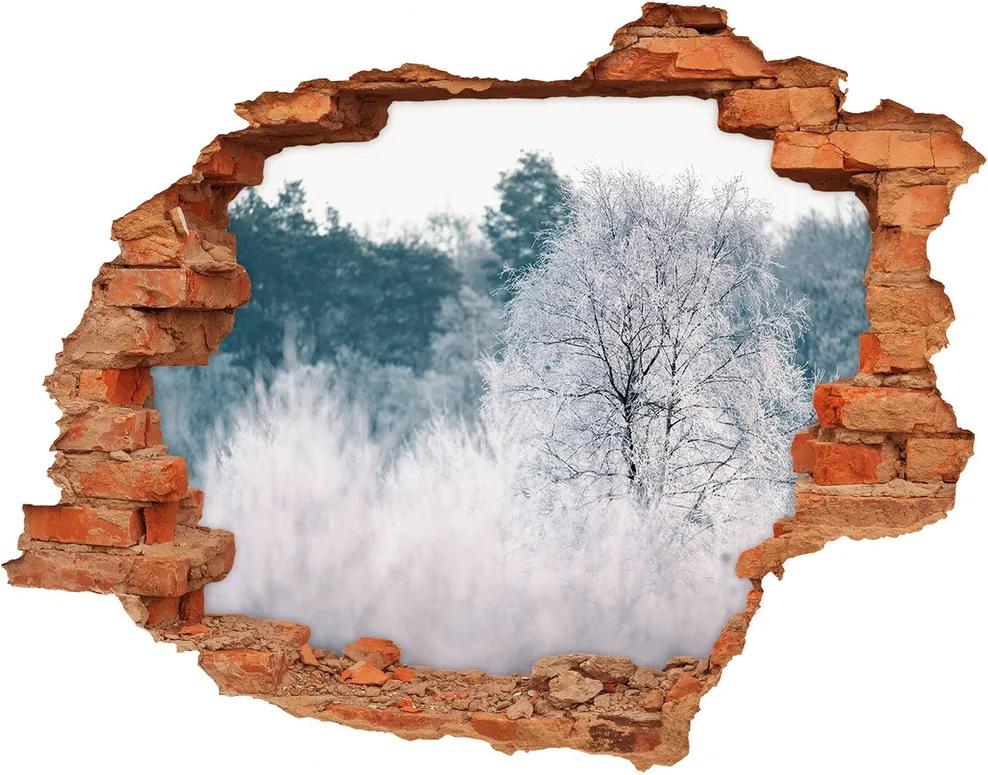Fototapet un zid spart cu priveliște Copaci în timpul iernii
