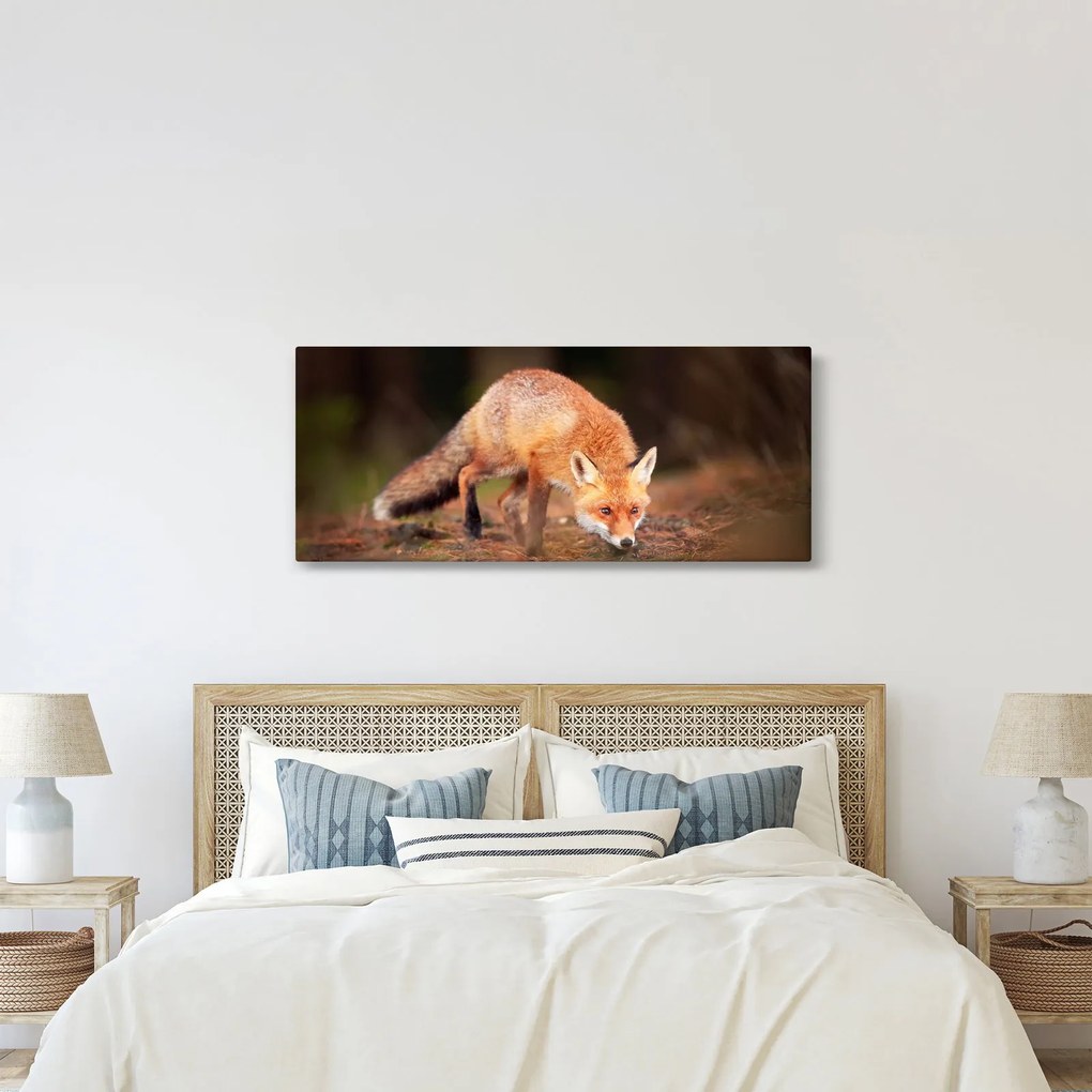 Tablou - Vulpe in pădure (120x50 cm)