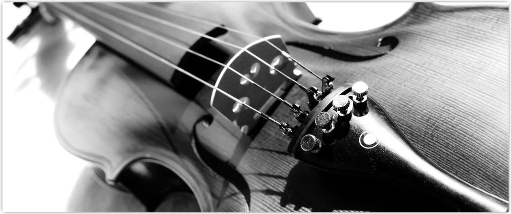 Tablou - Vioară (120x50 cm)