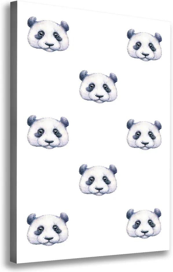 Print pe canvas Ursi panda
