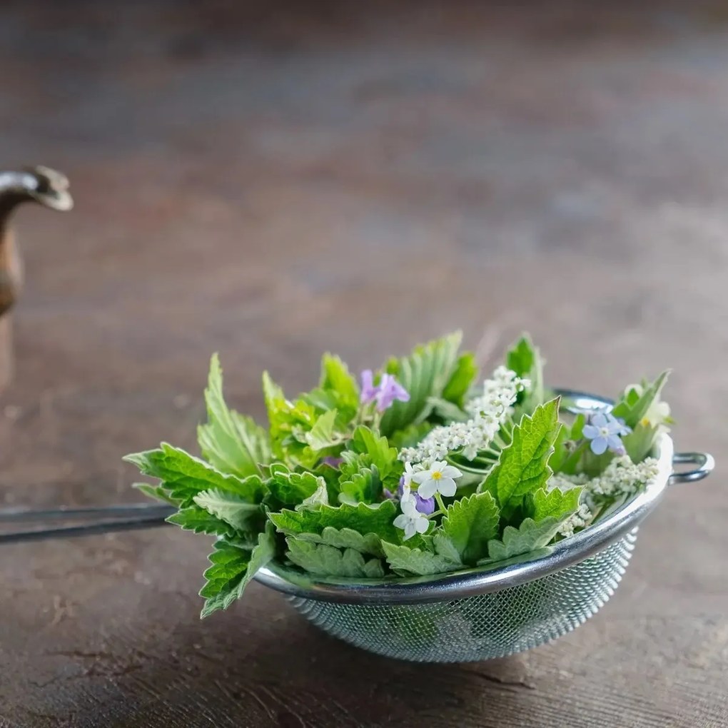 Strecurătoare Orion din oțel inoxidabil, 10 cm, 10 cm