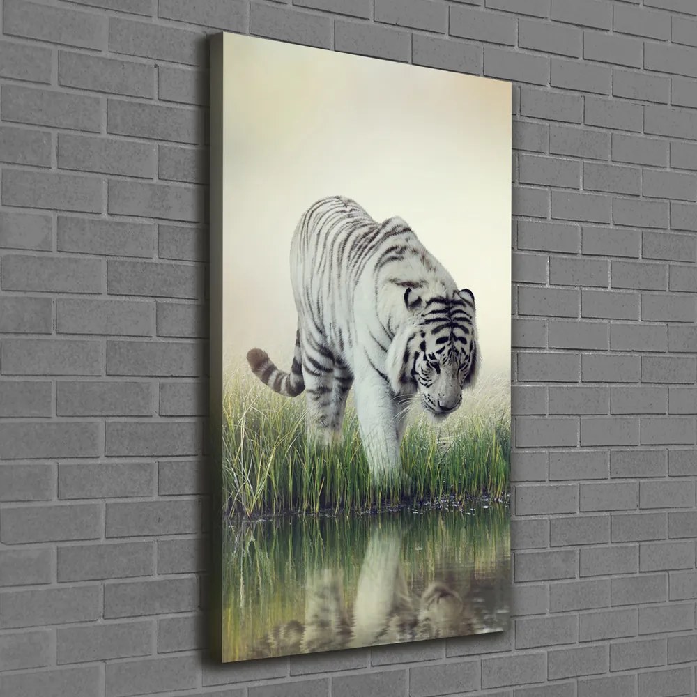 Print pe canvas Tigru alb